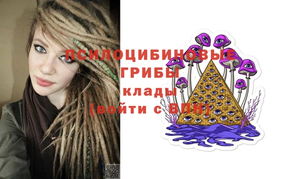 СК Аркадак